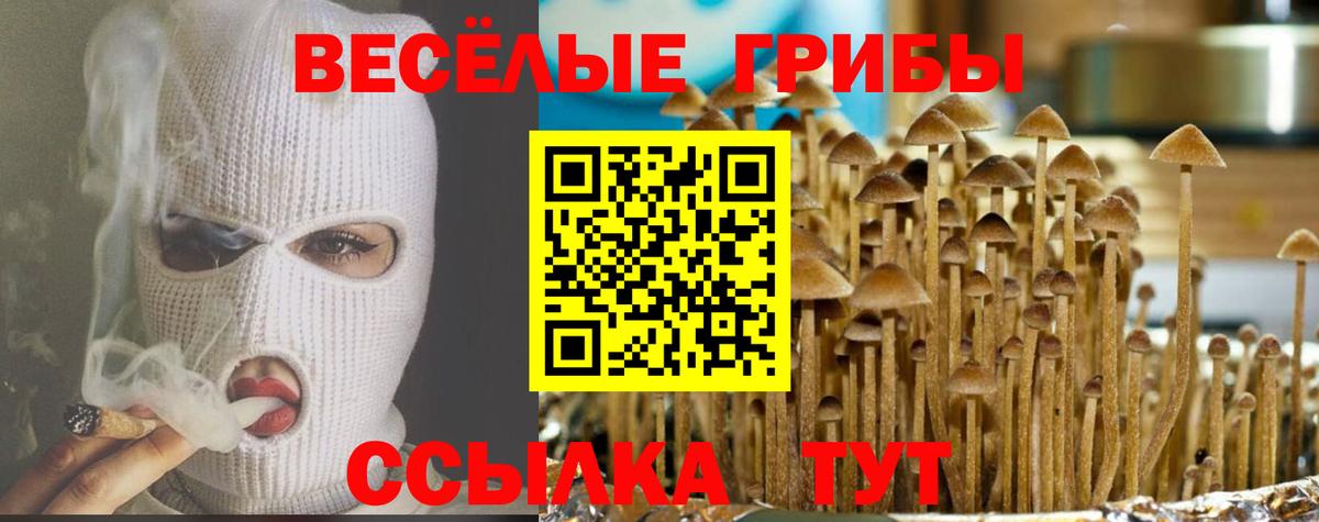 Саяногорск  Псилоцибиновые грибы GOLDEN TEACHER  Галлюциногенные грибы MAGIC MUSHROOMS  Вход с VPN 
